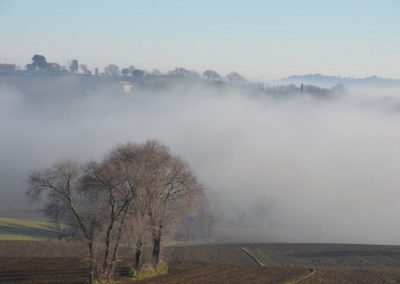 Nebelschwaden in der Hügellandschaft